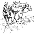 A Pack Horse
