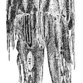 Indian Costume (Male)