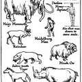 Early Pleistocene Animals, Contemporary with Earliest Man.png