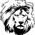Lion 2.jpg