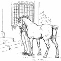 Man and horse outside a house.jpg