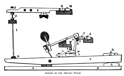 Action of the Square Piano