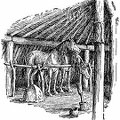 My father stabled his horses at night in our lodge, in a little corral fenced off against the wall.jpg