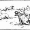 Cows and horse 2.jpg