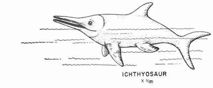 Swimming Reptiles - Ichthyossaur