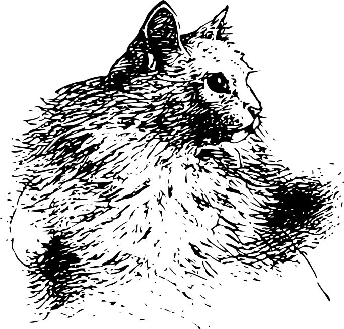 a white Persian - Muff.png