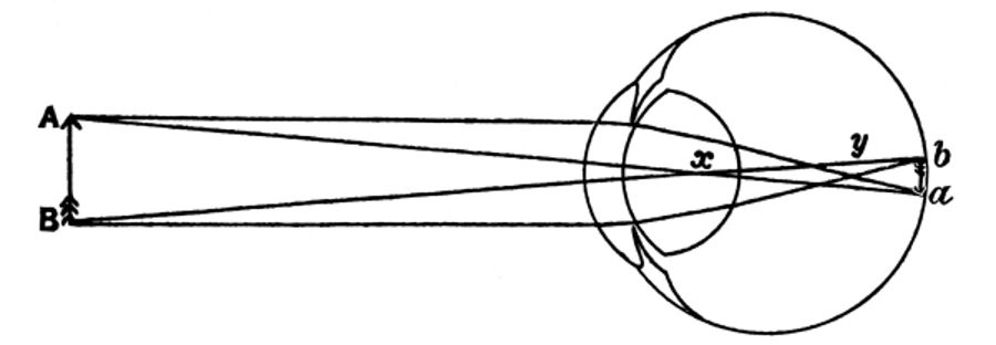 The Formation of an Image by the Refracting Media of the Eye.jpg