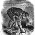 The Rat catchers of the Sewers