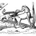 Fight between a horse and dogs