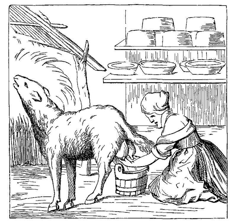 Manufacture of Cheese.png