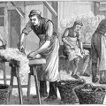 Wool-sorters at Work