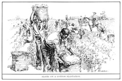 Slaves on a cotton plantation