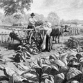Harvesting tobacco at Jamestown, about 1650