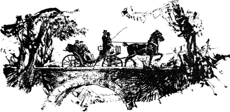 Horse and Cart.jpg