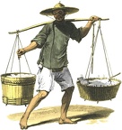 A Seller of Rice