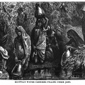 Egyptian Water Carriers filling their jars