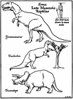 Some Late Mesozoic Reptiles
