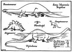 Some Mesozoic Reptiles