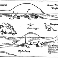 Some Mesozoic Reptiles