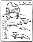 Some Reptiles of the Late Paleozoic Age
