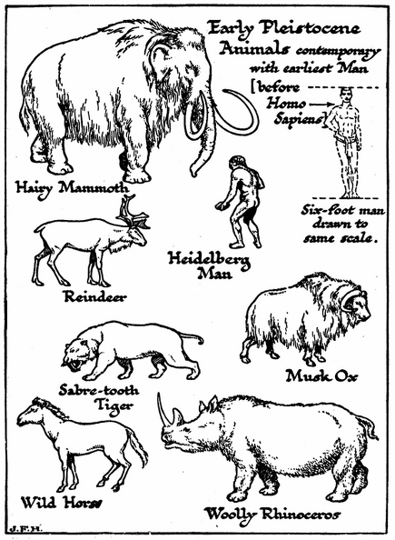 Early Pleistocene Animals, Contemporary with Earliest Man.png