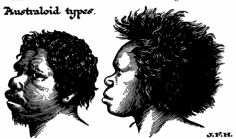 Heads of Australoid Types.png