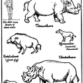 Some Oligocene Mammals