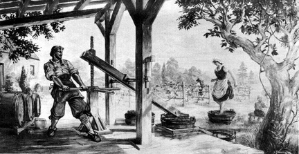 Making Wine At Jamestown About 1650