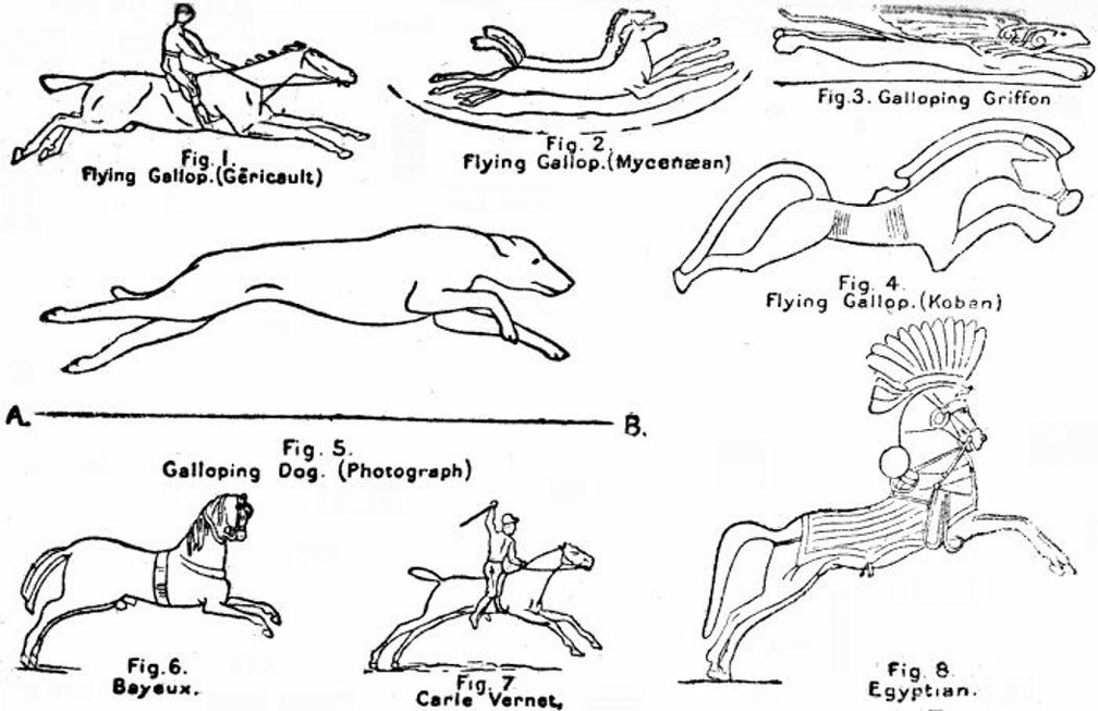 Various representations of the gallop