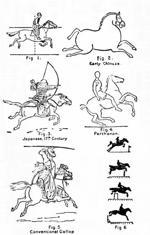 Representations of the gallop