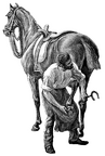 Blacksmith shoeing horse
