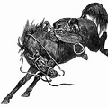 Bucking Horse