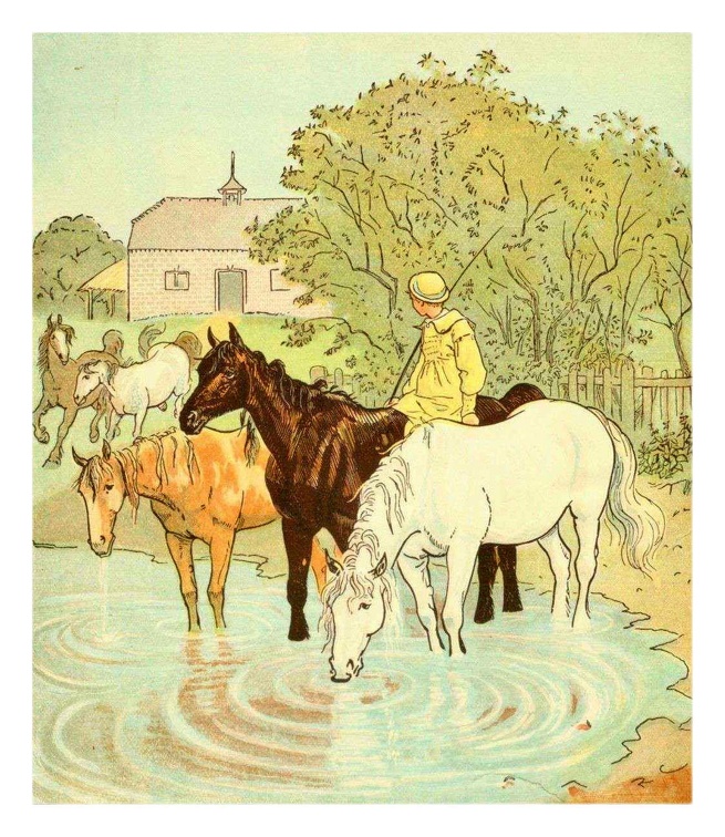 Horses Drinking.jpg