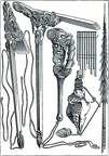 New Zealand utensils and weapons