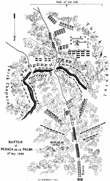 Battle of Resaca de la Palma 9th May 1846