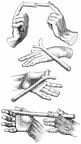 Positions of the Hands on Divining Rods