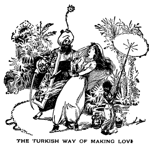 The Turkish way of making love.png