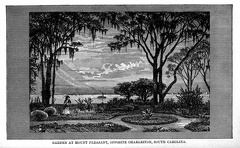 Garden at Mount Pleasant, opposite Charleston, S. C