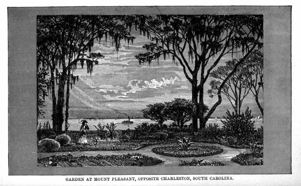 Garden at Mount Pleasant, opposite Charleston, S. C.jpg