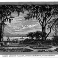 Garden at Mount Pleasant, opposite Charleston, S. C.jpg