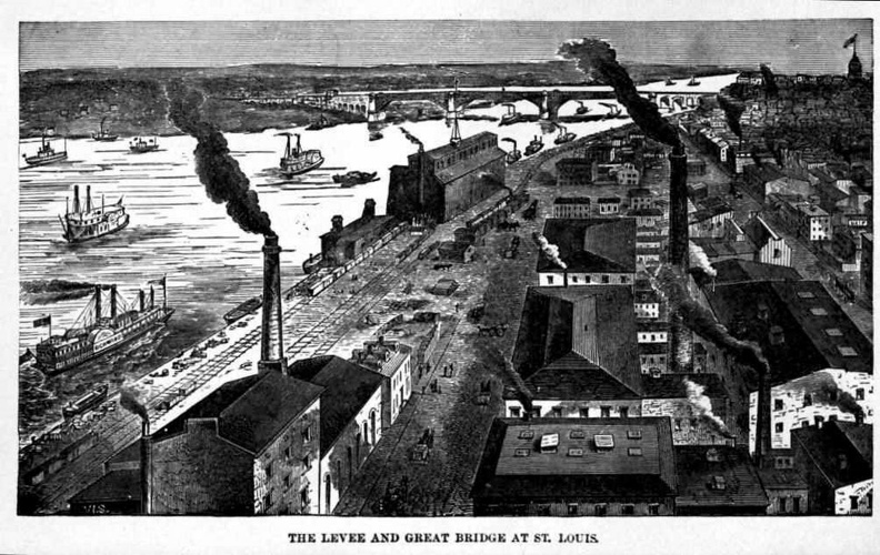 Levee and Great Bridge at St. Louis