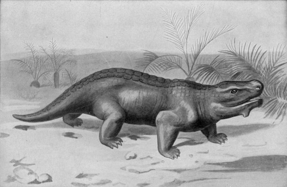Pariasaurus - An Extinct Vegetarian Triassic Reptile.jpg