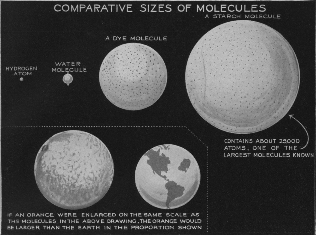 Comparative size of molecules