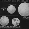 Comparative size of molecules