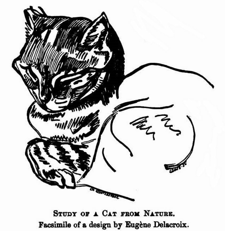 Study of a cat from nature.jpg