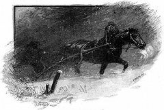 Horse and buggy in a snowstorm