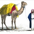 Loaded-up Camel