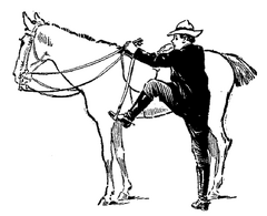 The wrong way to mount a horse—facing forward