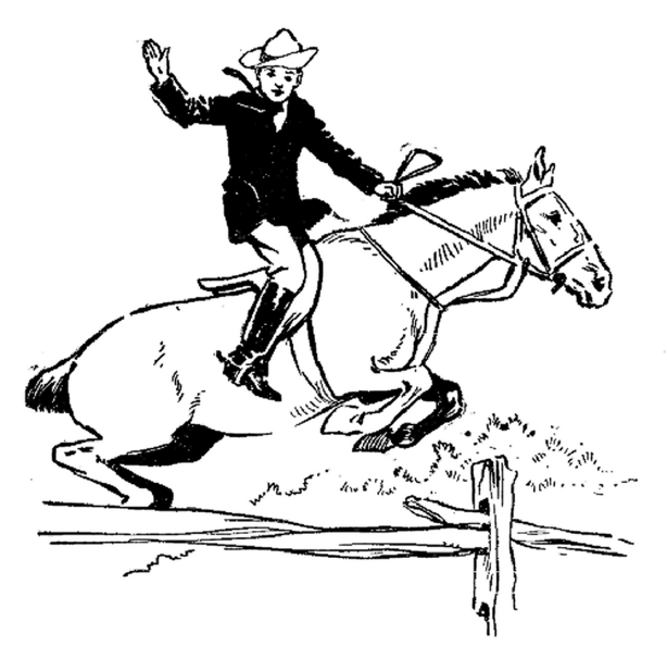 Jumping fences is the highest art of horsemanship.png