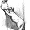 The Cat and the Knocker